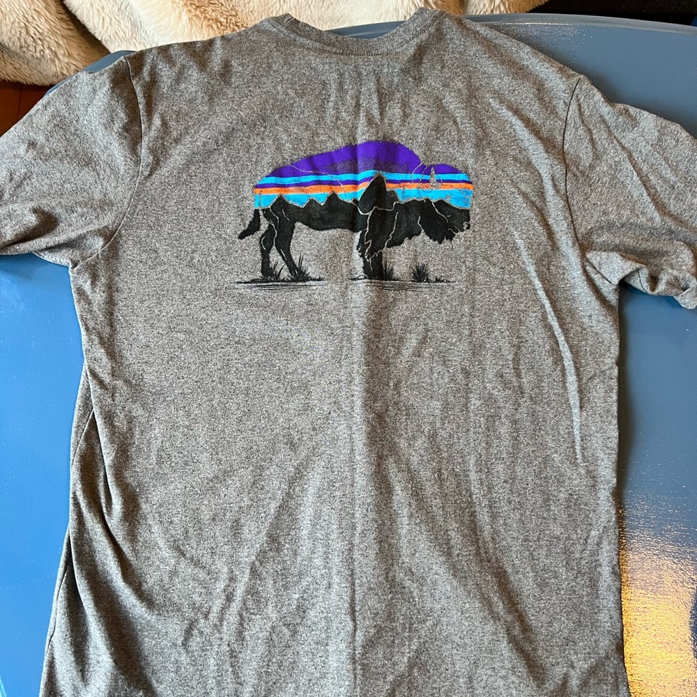 Patagonia Tee Shirt, size small